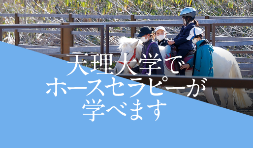 http://ホースセラピー